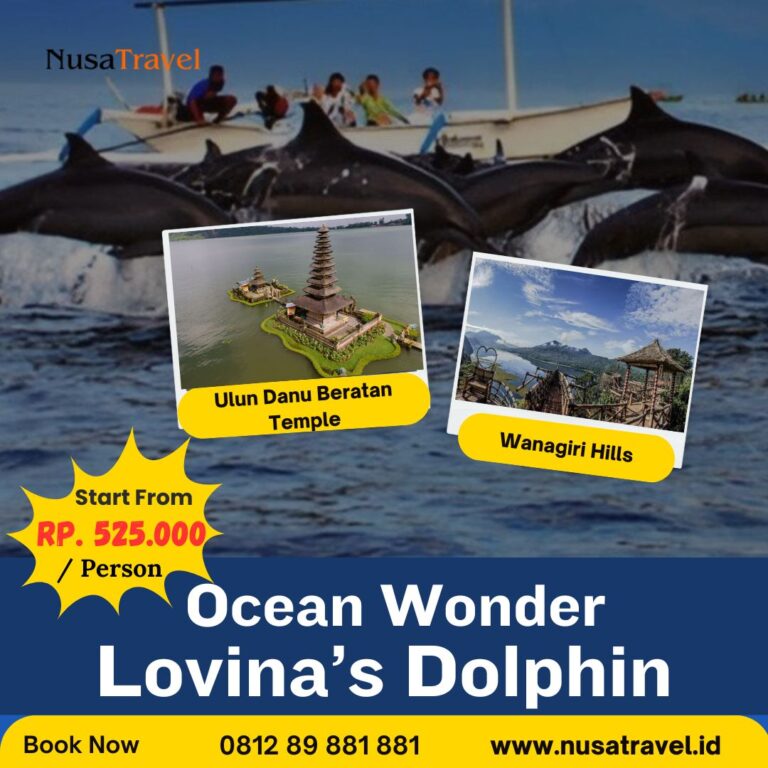 Ocean Wonder Lovina